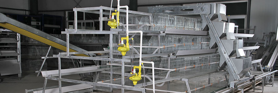 A type broiler cage