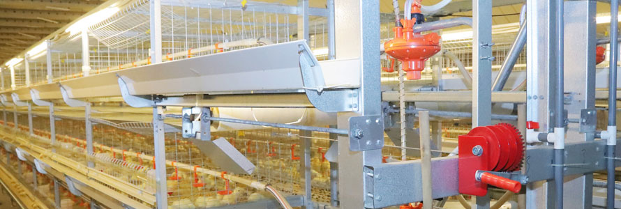 H type broiler cage-advanced type