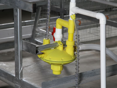 chick cage auxiliary equipment-pressure reducer and nipple drinker