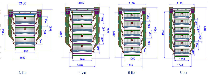 layer cage-layout drawing of layer chicken house