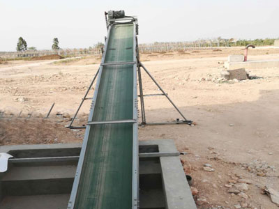 poultry manure removal system-outdoor conveyor belt.jpeg