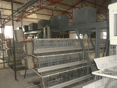 A-type-chicken-cage-accessories-gantry-type-feeding-machine