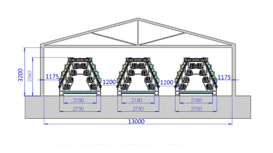 chicken house layout for A type layer cages.jpeg