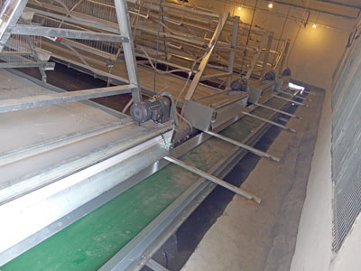 manure cleaning for A type battery cage