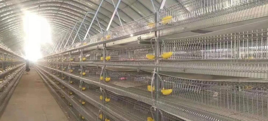 space-saving-quail-battery-cages.jpg