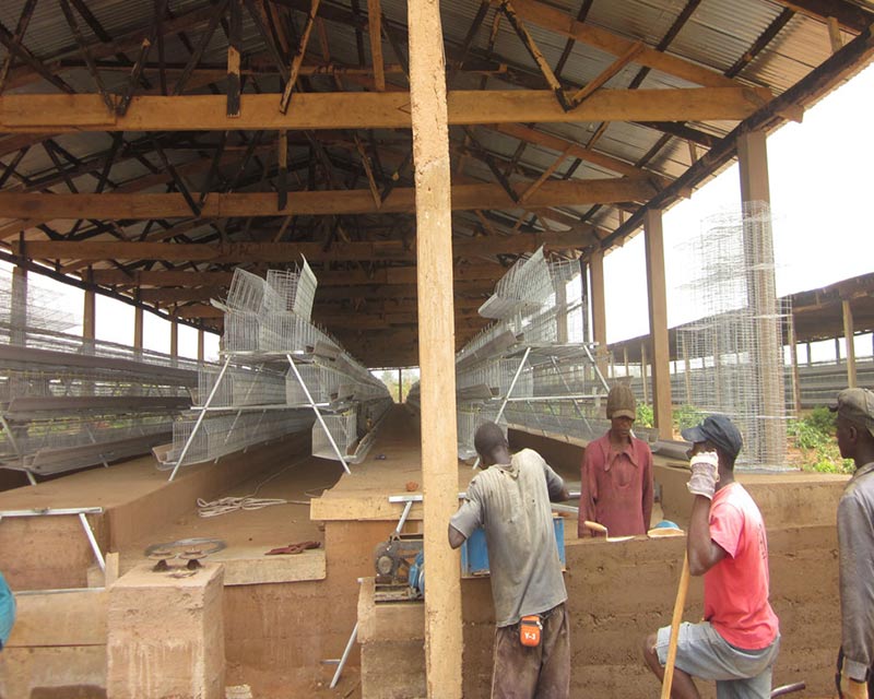 A Type Layer Cage Installed In West Africa