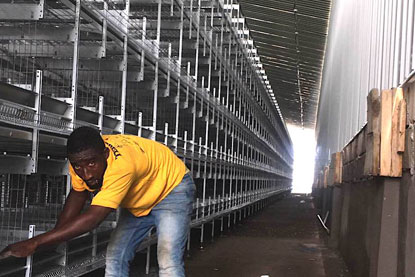 H Type Layer Cage Installed In Togo