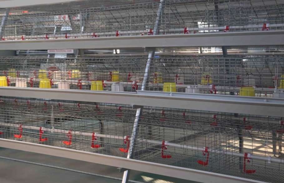 A-type-battery-cage.jpg