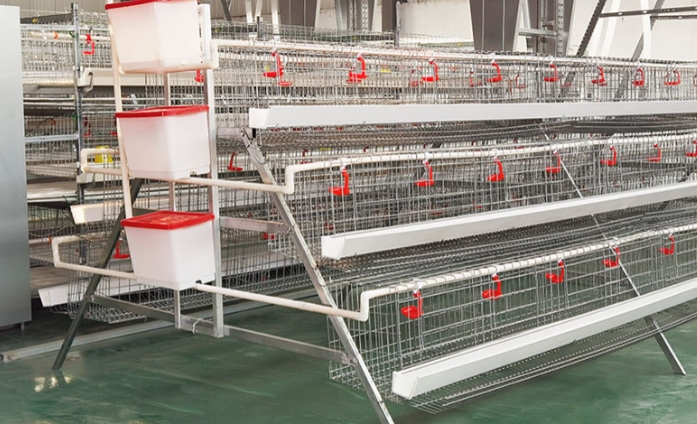 Automatic Chicken Feeding Machine for Chicken Farm