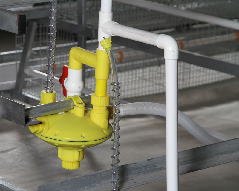 Poultry Drinking Systems